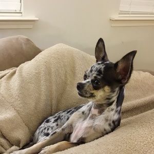 Meet your Posher, Kari